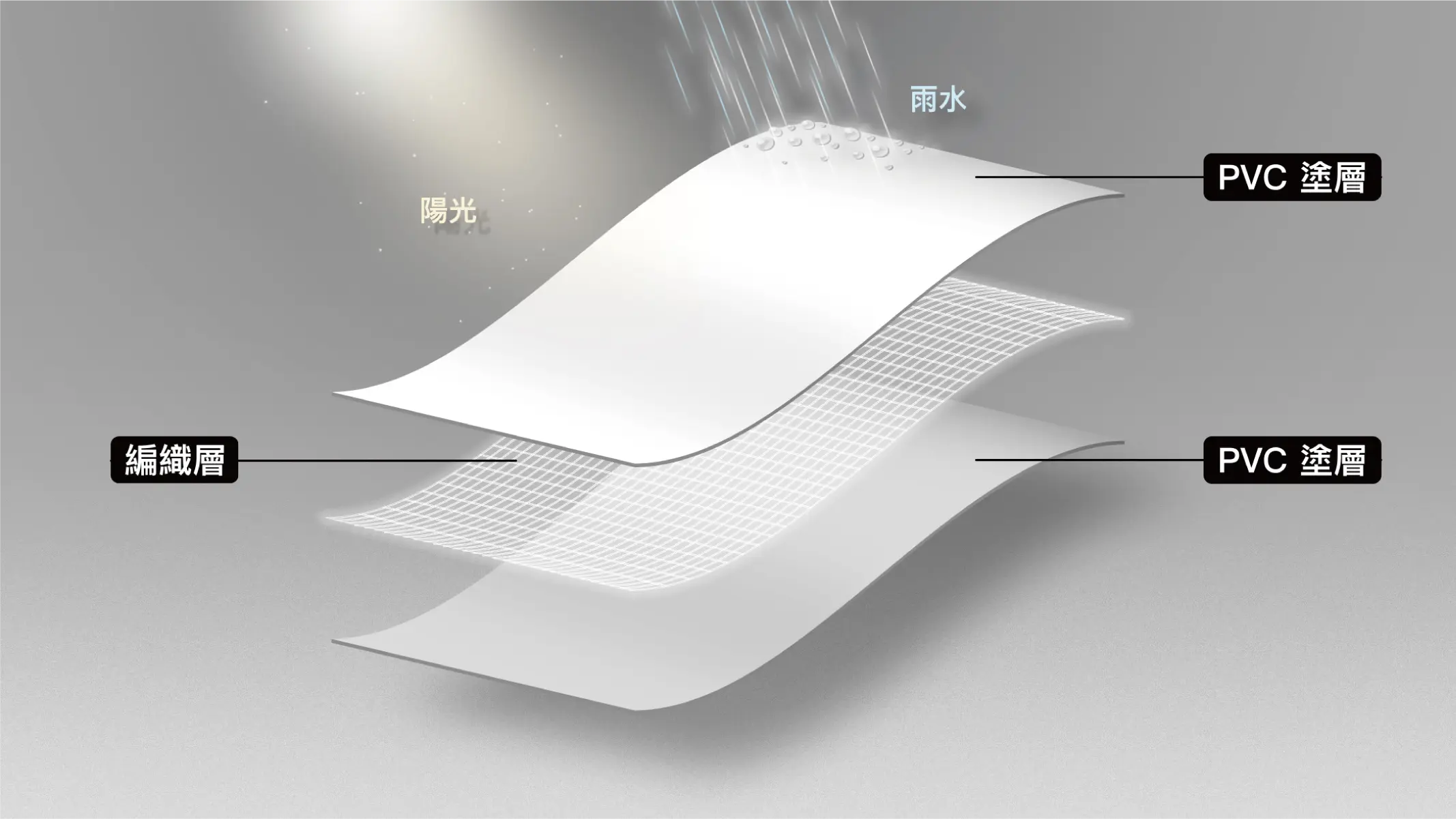 PMF-04.webp