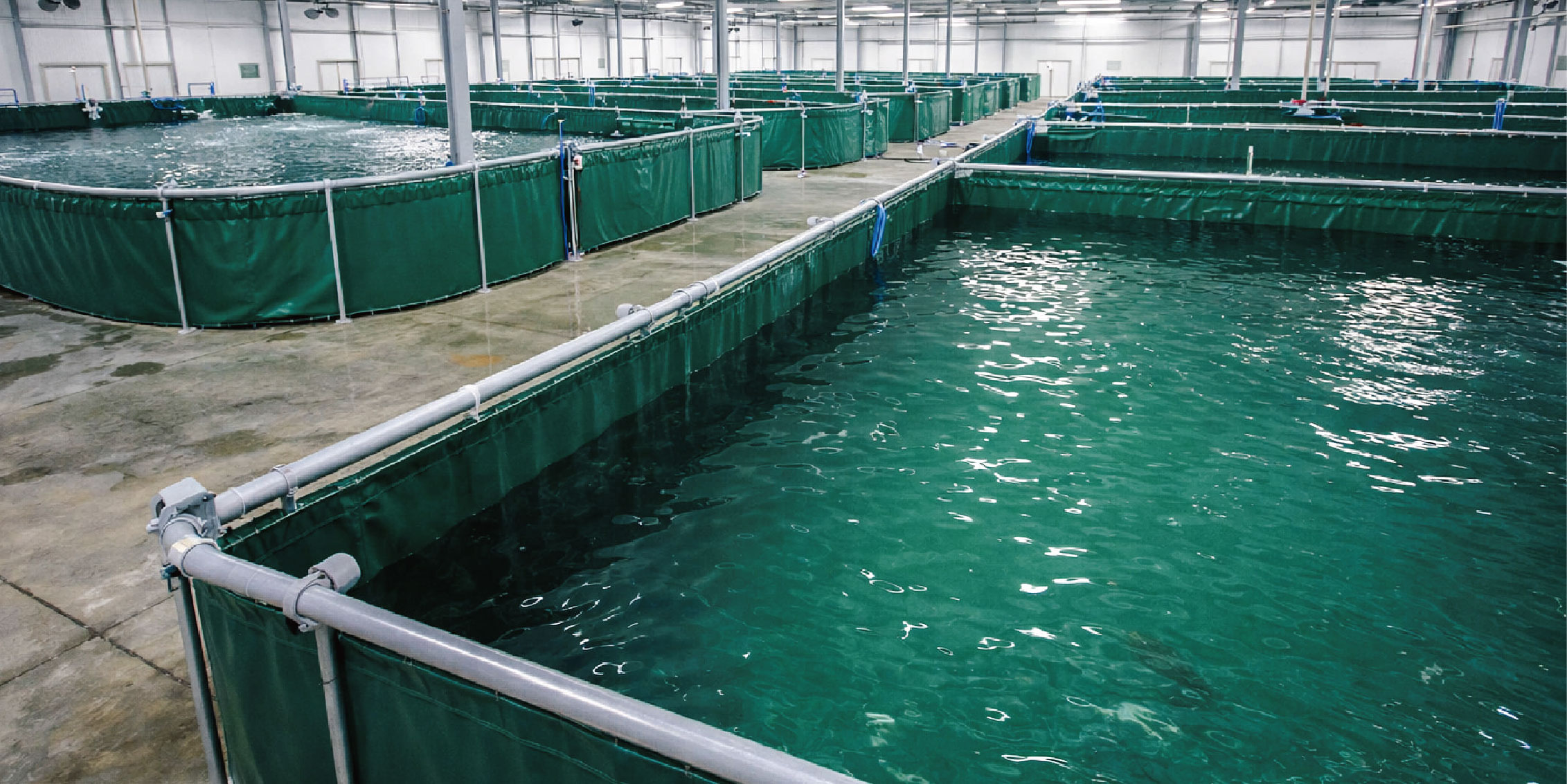 帆布魚池工廠推薦：工業級帆布魚池訂做，能依照規模全方位客製